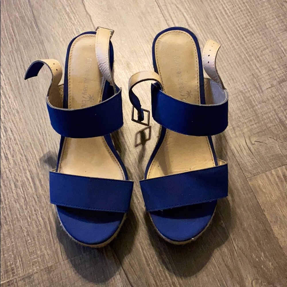 Blue wedges